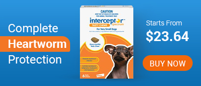 Intercepteur