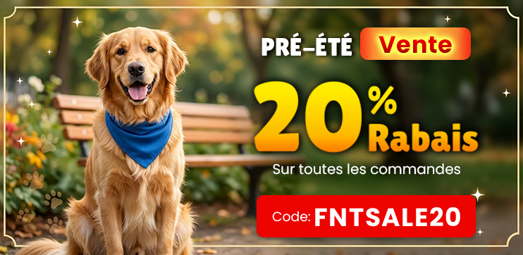 Bannière promotionnelle