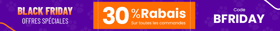 Vente du vendredi noir