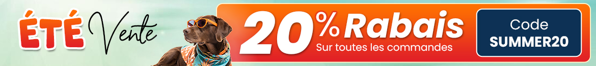 Bannière promotionnelle