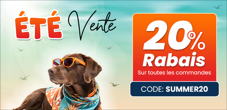 Bannière promotionnelle