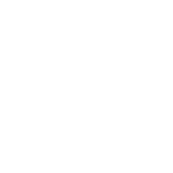 Icon-Search